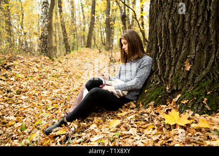 Junge schöne Mädchen in einer grauen Jacke in den Wald in der Nähe einen grossen Baum mit einem Mobiltelefon. Stockfoto