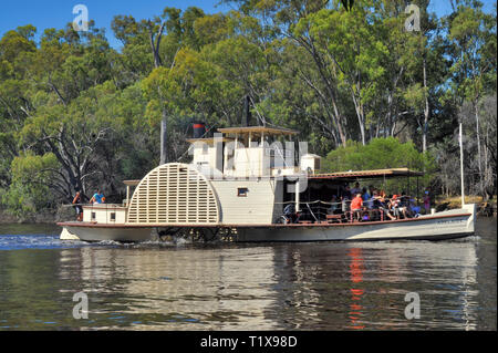 Raddampfer "Adelaide" auf dem Adelaide River im Süden von Australien wiederhergestellt. Die Passagiere an Deck, Eukalyptus Bäume am Fluss. Stockfoto