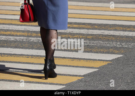 Frau auf dem Fußgängerübergang, Ansicht von hinten. Weibliche Beine in modische Strümpfe und schwarze Schuhe auf High Heels auf dem Zebrastreifen, Straße Sicherheit Stockfoto