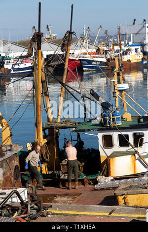 Brixham, Hafen, Torquay - England, Abenteuer, Balkon, Blau, die britische Kultur, Küste, Farbbild, Cottage, Devon, England, Englisch Stockfoto