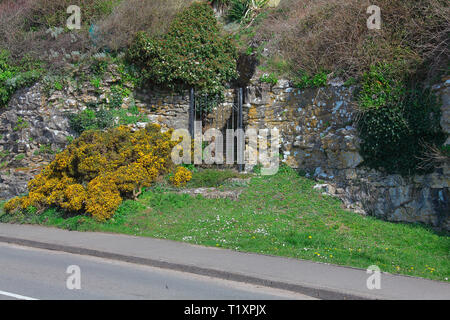 Das Tor zu, wo? Ein privater Eingang zu erheischen Garten, der durch ein Tor in einen Gehweg, ist einer Allee von Bäumen überragt. Stockfoto