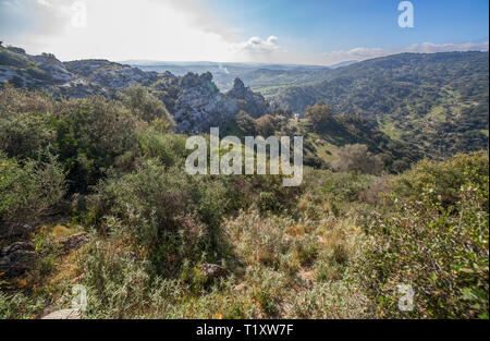 Herrliche Natur Bereich von Los Alcornocales Naturpark Stockfoto