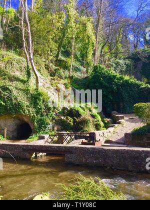 Dyserth, uk Dyserth fällt im Frühling Kredit Ian fairbrother/Alamy stock News Stockfoto