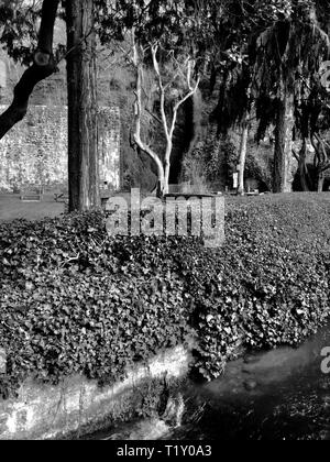 Dyserth, uk Dyserth fällt im Frühling Kredit Ian fairbrother/Alamy stock News Stockfoto