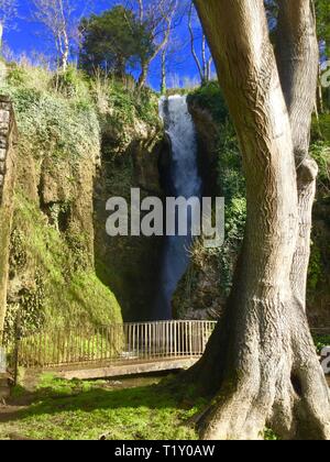 Dyserth, uk Dyserth fällt im Frühling Kredit Ian fairbrother/Alamy stock News Stockfoto