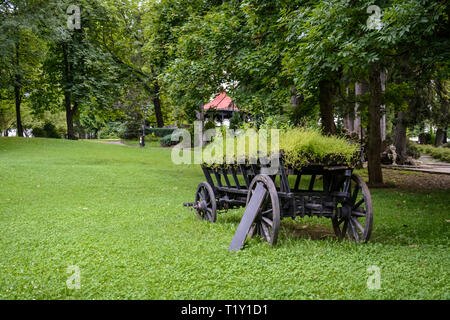 Rustikal und alte Karre mit Pflanzen auf einem öffentlichen Park Stockfoto