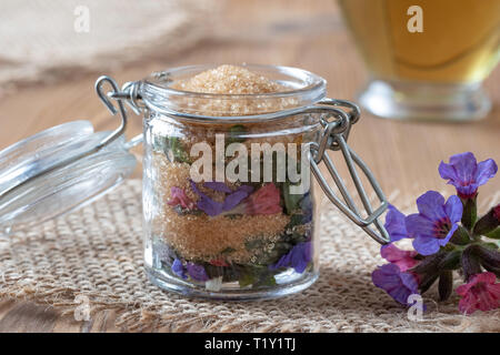 Zubereitung von hausgemachten Kräuter Sirup gegen Husten aus frischen Lungenkraut Blumen und Rohrzucker Stockfoto