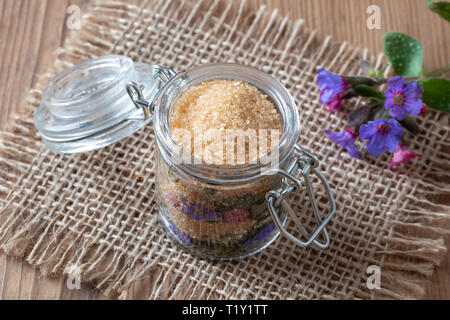 Zubereitung von hausgemachten Kräuter Sirup gegen Husten aus frischen Lungenkraut Blumen und Rohrzucker Stockfoto