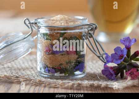 Zubereitung von hausgemachten Sirup gegen Husten aus frischen Lungenkraut Blumen und Rohrzucker Stockfoto