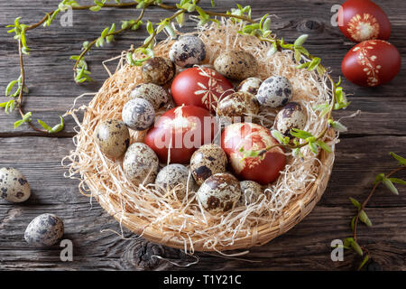 Wachtel und Ostern Eier mit Zwiebeln Schalen mit einem Muster der Kräuter in einem Korb gefärbt, mit jungen Weidenruten Stockfoto