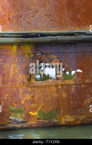 Klaffende Loch in einen Teil der Diaetenreform rosten Schiffsrumpf des alten Schiffes Waverley in Untiefen des Wairau Lagunen auf die Natur zu Fuß. Stockfoto