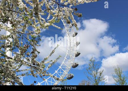 Sightseeing Tour durch die Stadt London, Großbritannien Stockfoto