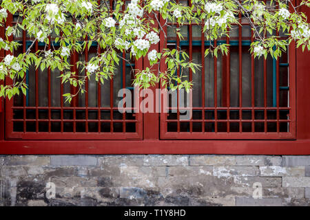 (190329) - Peking, 29. März 2019 (Xinhua) - Foto am 28. März 2019 zeigt Blumen, die in der Verbotenen Stadt in Peking, der Hauptstadt von China. (Xinhua / Meng Dingbo) Stockfoto