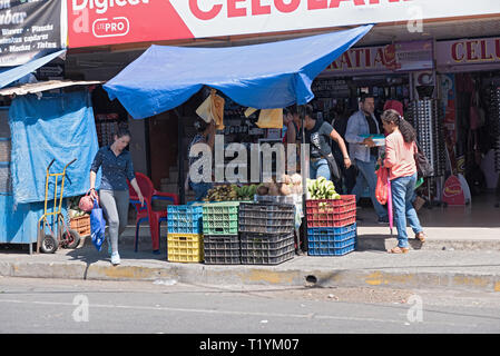 Typische Früchte und Gemüse street Stall in David Panama Stockfoto