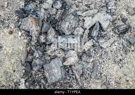 Unverbrannte Holzkohle Asche erloschen auf dem Boden. Stockfoto