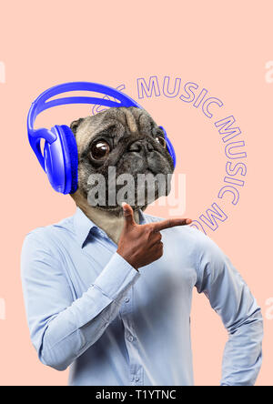 Meloman kann unterschiedlich sein. Musik ist für jeden verfügbar. Alternative Ansicht der Haustiere. Mann im Hemd durch Hunde oder möpse Kopf mit großen blauen Kopfhörer geleitet. Modernes Design. Zeitgenössische Kunst Collage. Stockfoto