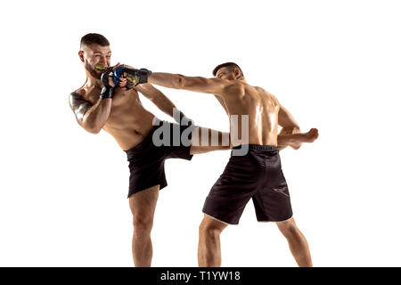 MMA. Zwei professionelle fightesr Stanzen oder Boxen auf weiße studio Hintergrund isoliert. Paar fit muskulös kaukasischen Sportler oder Boxer kämpfen. Sport, Wettbewerb, Aufregung und menschlichen Emotionen Konzept Stockfoto