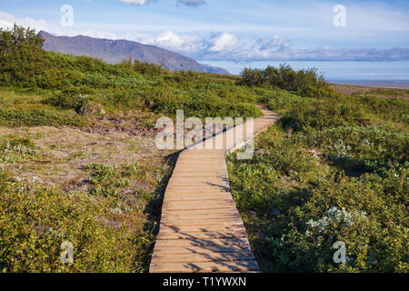 Holzsteg am Wanderweg Überqueren der Erhaltung, Vatnajökull Skaftafell National Park, Island, Skandinavien Stockfoto