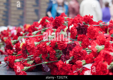 Rote Nelke Blumen auf einem Denkmal aus Marmor. Denkmal für die gefallenen Soldaten im Zweiten Weltkrieg. Sieg in Europa. Stockfoto