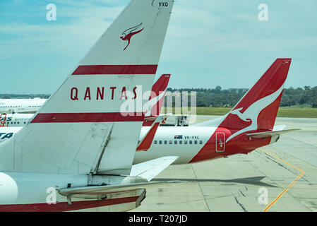 Der Schwanz einer Boeing 737 838 (VH-VXQ) in Qantas livery 1959 mit der modernen und aktuellen Farbschema im Hintergrund am Sydney Flughafen lackiert Stockfoto