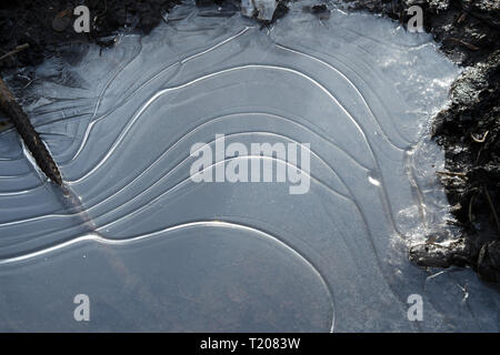 Eis auf einer gefrorenen Pfütze im Frühjahr Schlamm Nahaufnahme Stockfoto