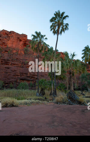 Dramatische Landschaft von Palm Valley, Northern Territory, Australien Stockfoto