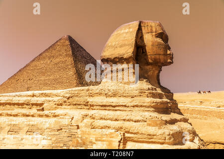 Die Große Sphinx und die Cheopspyramide in Gizeh, Ägypten Stockfoto