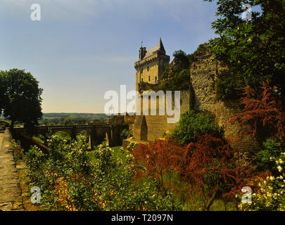 Der Uhrturm, Château de Chinon, Loire Tal, Frankreich Stockfoto