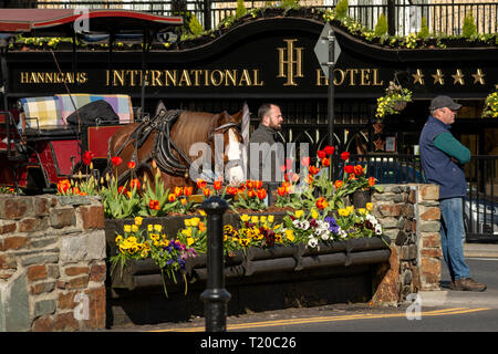 Jarveys warten im International Hotel im Stadtzentrum von Killarney auf Gäste, wie es der alltägliche Blick in Killarney, County Kerry, Irland ist Stockfoto