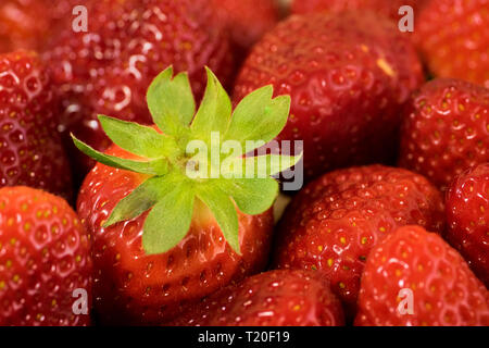 Hintergrund von frisch Erdbeeren, direkt oberhalb. Mit grünen Schwanz Stockfoto