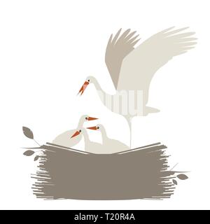 Niedliche Nest der Störche auf weißem Hintergrund. Vector Illustration Stock Vektor