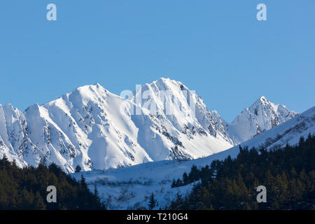 Turnagain Pass, Kenai Halbinsel, Alaska Stockfoto