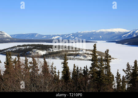 Bove Insel, windigen Arm, Tagish Lake, Yukon Stockfoto