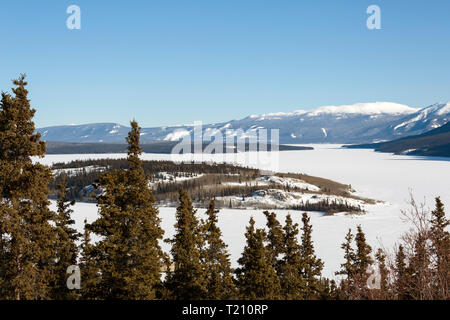 Bove Insel, windigen Arm, Tagish Lake, Yukon Stockfoto