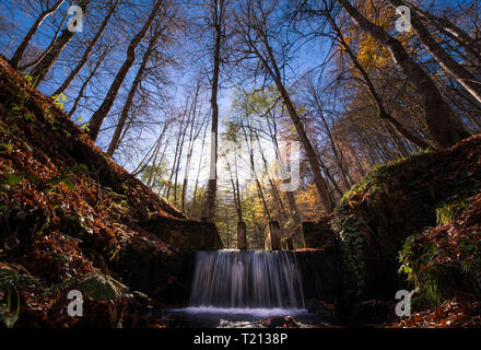 Herbst im Nationalpark, Wasserfall Yedigoller Stockfoto