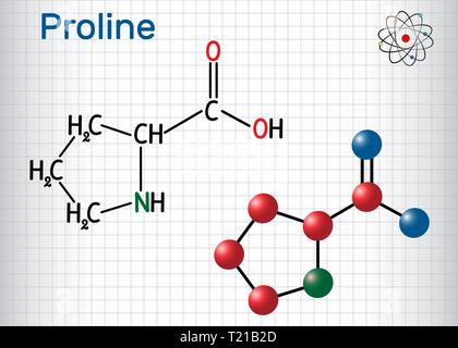 Proline (L-Prolin, Pro, P) proteinogene Aminosäure Molekül. Blatt Papier in einem Käfig. Strukturelle chemische Formel und Molekül-Modell. Vektor illu Stock Vektor