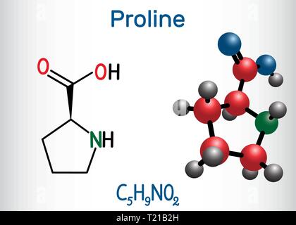 Proline (L-Prolin, Pro, P) proteinogene Aminosäure Molekül. Strukturelle chemische Formel und Molekül-Modell. Vector Illustration Stock Vektor