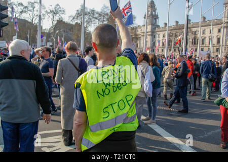 London, Großbritannien. 29. Mär 2019. Demonstrant am Brexit Tag Protest Quelle: Alex Cavendish/Alamy leben Nachrichten