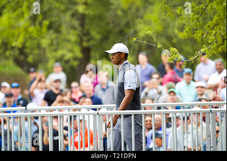 Austin, Texas, USA. 29. Mär 2019. März 29, 2019: Tiger Woods in Aktion bei der World Golf Championships" "Dell Technologien Match Play im Austin Country Club. Austin, Texas. Mario Cantu/CSM Credit: Cal Sport Media/Alamy leben Nachrichten Stockfoto