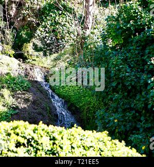 Dyserth, North Wales, UK. 29 Mär, 2019. Dyserth fällt im Frühjahr wärme Credit: IAN Fairbrother/Alamy leben Nachrichten Stockfoto