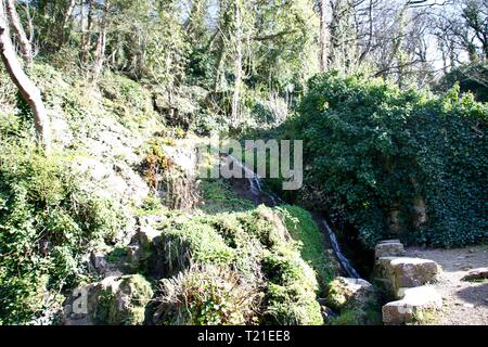 Dyserth, North Wales, UK. 29 Mär, 2019. Dyserth fällt im Frühjahr wärme Credit: IAN Fairbrother/Alamy leben Nachrichten Stockfoto