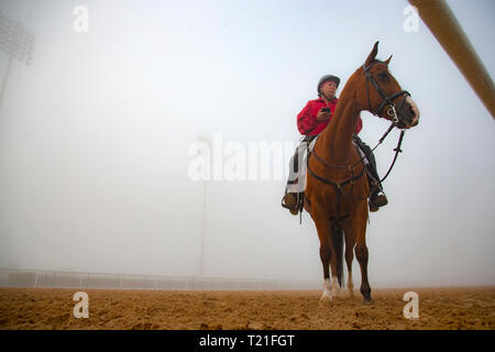 Meydan, Dubai, USA. 29 Mär, 2019. DUBAI, VEREINIGTE ARABISCHE EMIRATE - 29. März: Meydan Racecourse im dichten Nebel am 29. März 2019 in Dubai, Vereinigte Arabische Emirate. Kaz Ishida/Eclipse Sportswire/CSM/Alamy leben Nachrichten Stockfoto