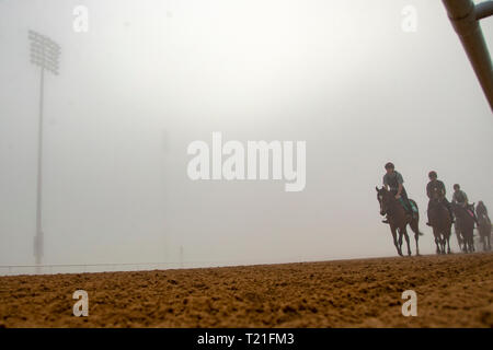 Meydan, Dubai, USA. 29 Mär, 2019. DUBAI, VEREINIGTE ARABISCHE EMIRATE - 29. März: Meydan Racecourse im dichten Nebel am 29. März 2019 in Dubai, Vereinigte Arabische Emirate. Kaz Ishida/Eclipse Sportswire/CSM/Alamy leben Nachrichten Stockfoto