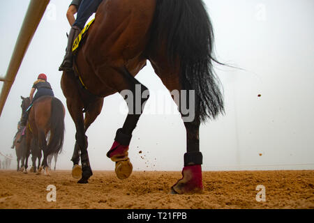 Meydan, Dubai, USA. 29 Mär, 2019. DUBAI, VEREINIGTE ARABISCHE EMIRATE - 29. März: Meydan Racecourse im dichten Nebel am 29. März 2019 in Dubai, Vereinigte Arabische Emirate. Kaz Ishida/Eclipse Sportswire/CSM/Alamy leben Nachrichten Stockfoto