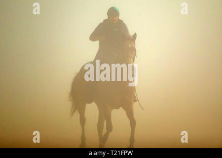 Meydan, Dubai, USA. 29 Mär, 2019. DUBAI, VEREINIGTE ARABISCHE EMIRATE - 29. März: Meydan Racecourse im dichten Nebel am 29. März 2019 in Dubai, Vereinigte Arabische Emirate. Kaz Ishida/Eclipse Sportswire/CSM/Alamy leben Nachrichten Stockfoto