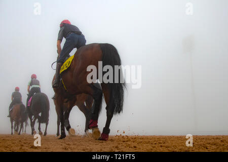 Meydan, Dubai, USA. 29 Mär, 2019. DUBAI, VEREINIGTE ARABISCHE EMIRATE - 29. März: Meydan Racecourse im dichten Nebel am 29. März 2019 in Dubai, Vereinigte Arabische Emirate. Kaz Ishida/Eclipse Sportswire/CSM/Alamy leben Nachrichten Stockfoto