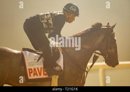 Meydan, Dubai, USA. 29 Mär, 2019. DUBAI, VEREINIGTE ARABISCHE EMIRATE - 29. März: Pavel, die von Doug O'Neill geschult, Übungen in Vorbereitung für den Dubai World Cup am Meydan Racecourse am 29. März 2019 in Dubai, Vereinigte Arabische Emirate. Kaz Ishida/Eclipse Sportswire/CSM/Alamy leben Nachrichten Stockfoto