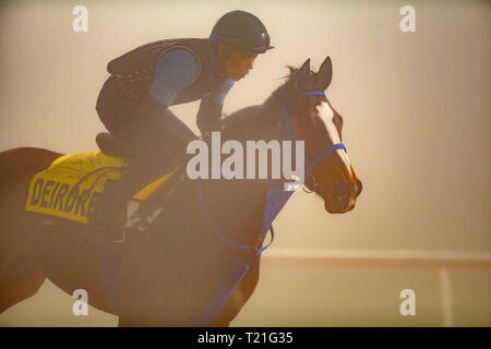 Meydan, Dubai, USA. 29 Mär, 2019. DUBAI, VEREINIGTE ARABISCHE EMIRATE - 29. März: Deirdre, ausgebildet von Mitsuru Hashida, Übungen in der Vorbereitung für Dubai Rasen am Meydan Racecourse am 29. März 2019 in Dubai, Vereinigte Arabische Emirate. Kaz Ishida/Eclipse Sportswire/CSM/Alamy leben Nachrichten Stockfoto