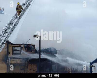 Dallas, USA. 29 Mär, 2019. Eigentumswohnung Feuer verdrängt 24 Familien. Credit: dallaspaparazzo/Alamy leben Nachrichten Stockfoto