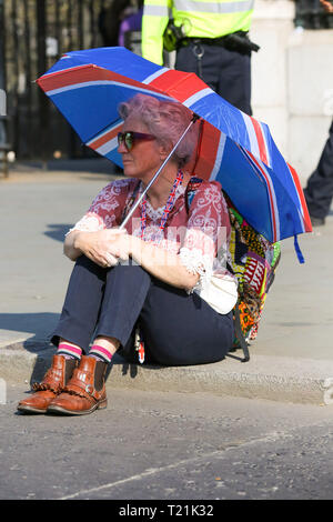 London, Großbritannien. 29 Mär, 2019. Eine Frau gesehen sitzen vor dem Haus des Parlaments mit einem Union Jack Regenschirm während des Protestes. Tierschützer protestieren gegen die Verzögerung zu Brexit, an dem Tag, an dem Vereinigten Königreich war die Europäische Union zu verlassen. Der britische Premierminister Theresa's kann Brexit umzugehen, wurde zum dritten Mal mit einem Vorsprung von 58 Stimmen abgelehnt. Credit: SOPA Images Limited/Alamy leben Nachrichten Stockfoto